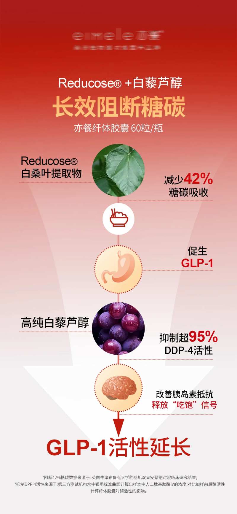 瘦身纤体胶囊长效阻断糖碳海报-采灵感-cailinggan.com