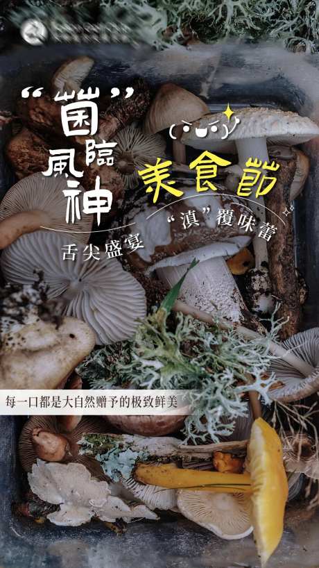 菌类美食海报-采灵感-https://www.cailinggan.com/
