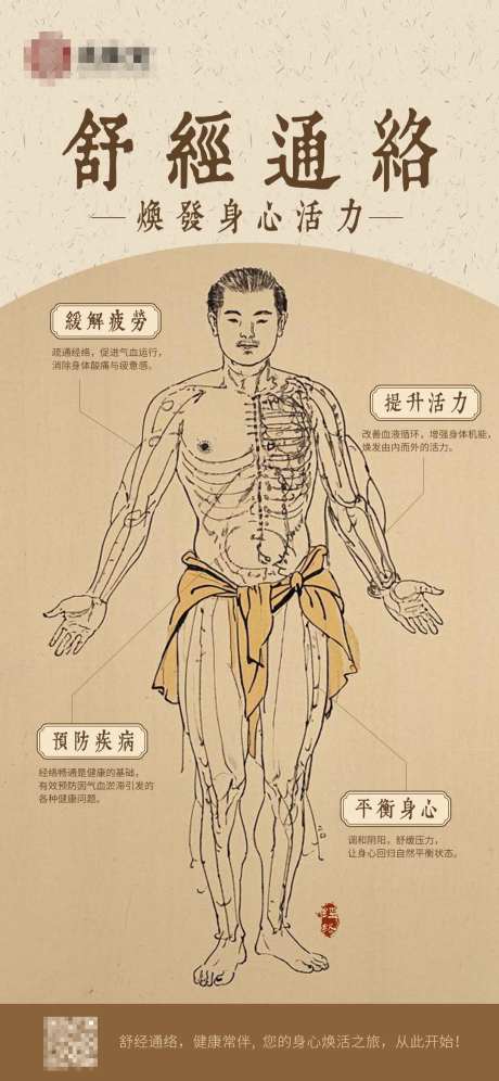 中式中医药养生舒经通络海报-采灵感-https://www.cailinggan.com/