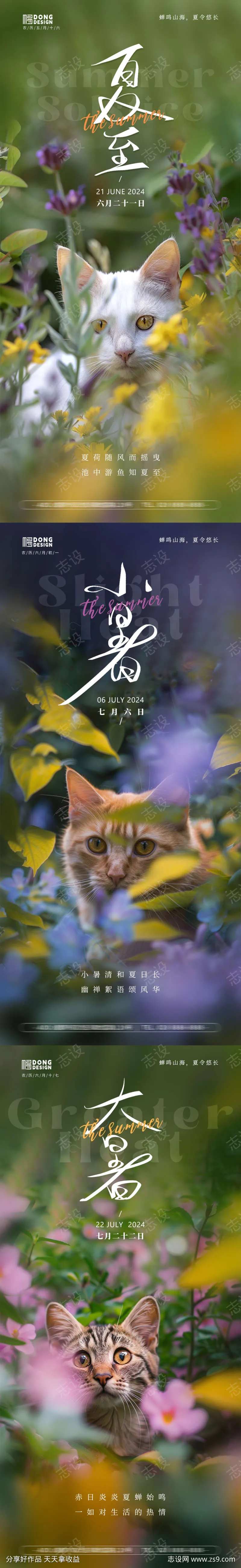 夏至小暑大暑小猫海报-采灵感-cailinggan.com