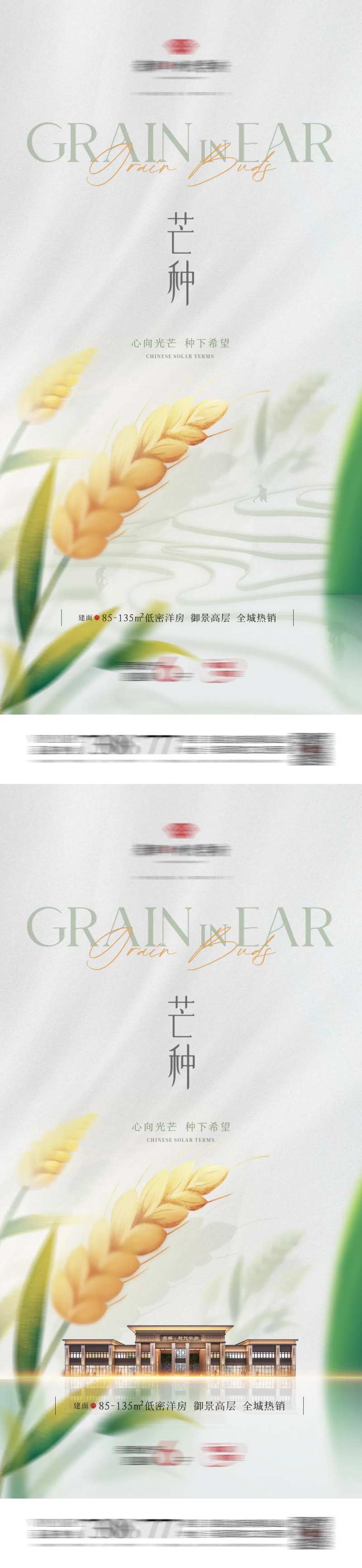 地产芒种谷物节气系列-采灵感-cailinggan.com