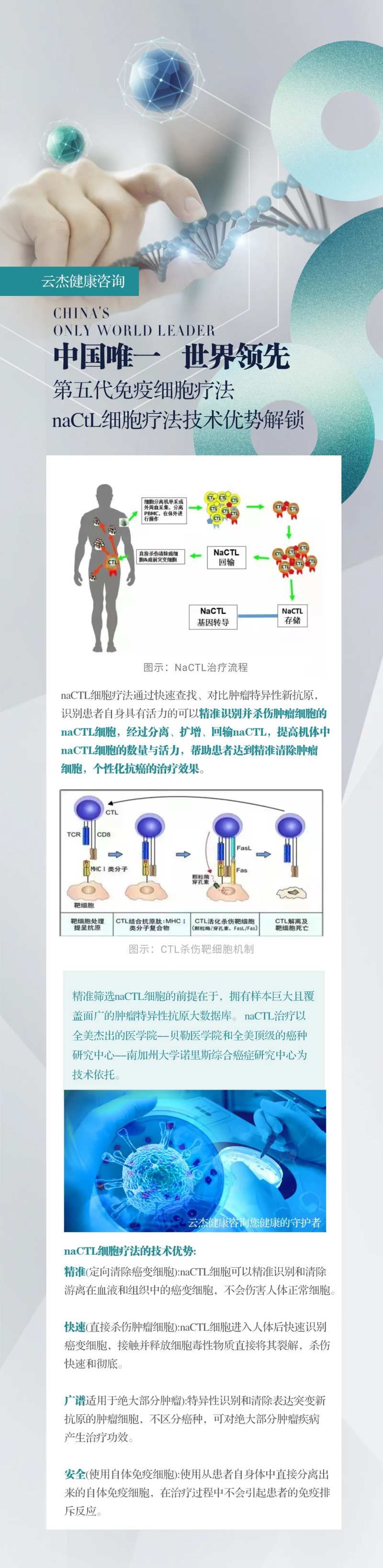 大健康免疫细胞海报-采灵感-cailinggan.com
