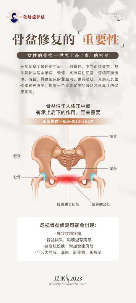 脊柱骨盆简约海报-采灵感-https://www.cailinggan.com/