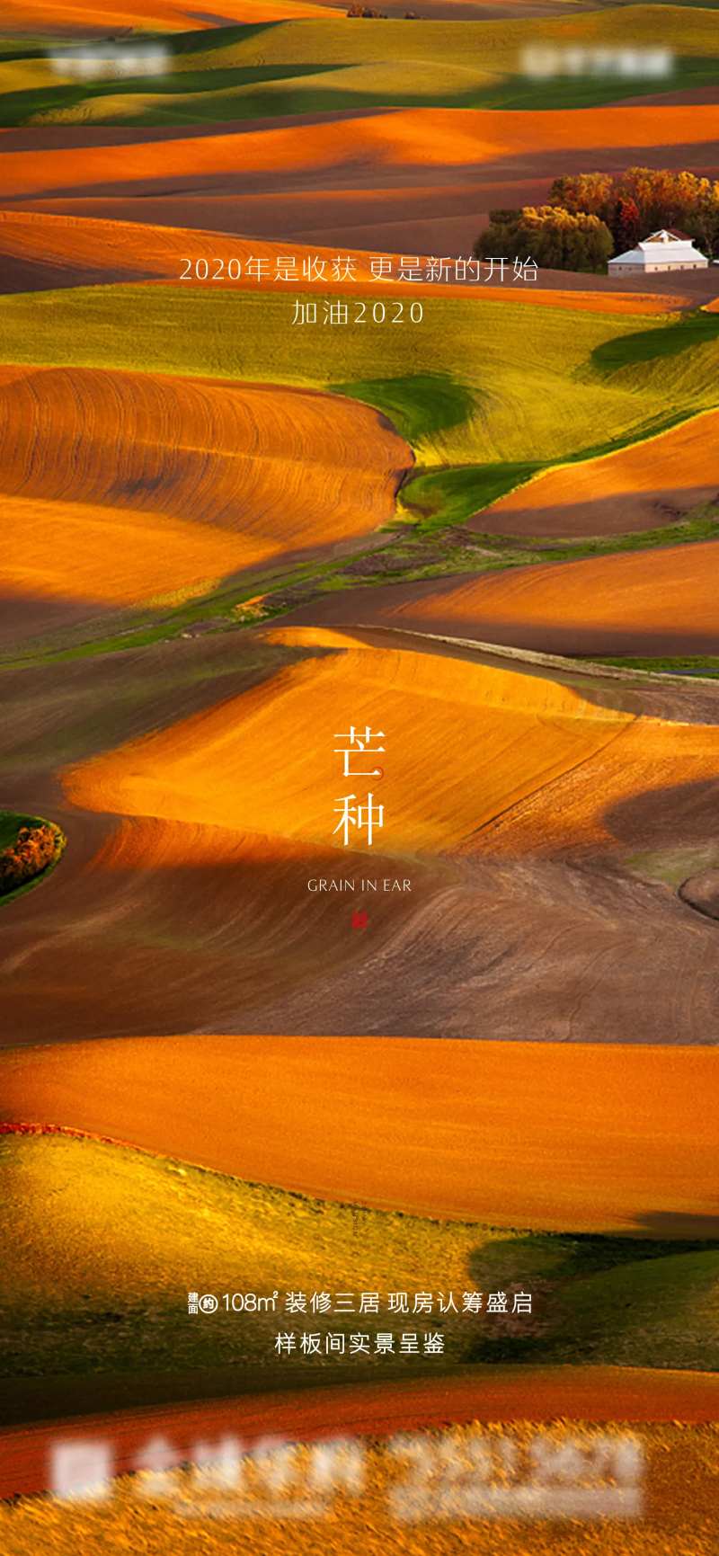 节气芒种地产微信稿-采灵感-cailinggan.com