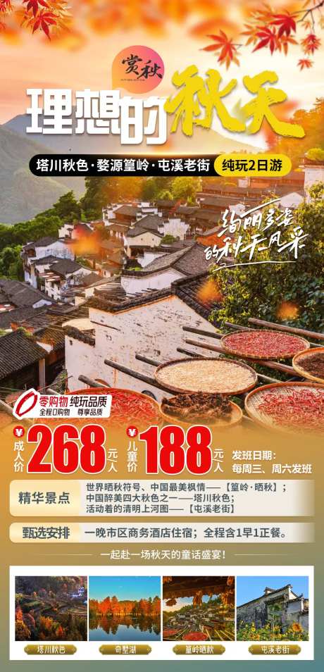 篁岭秋季旅游海报-采灵感-https://www.cailinggan.com/