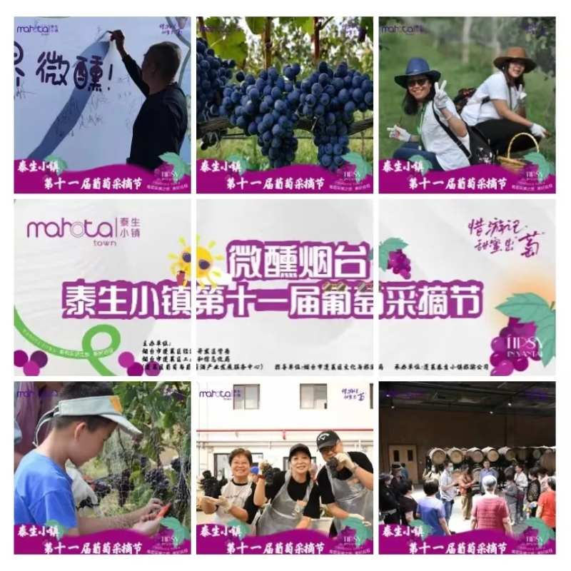 葡萄采摘节九宫格-采灵感-cailinggan.com