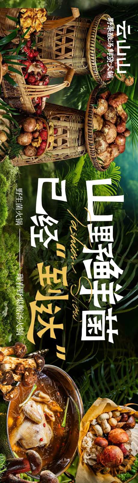 山野菜野生菌五连图-采灵感-https://www.cailinggan.com/