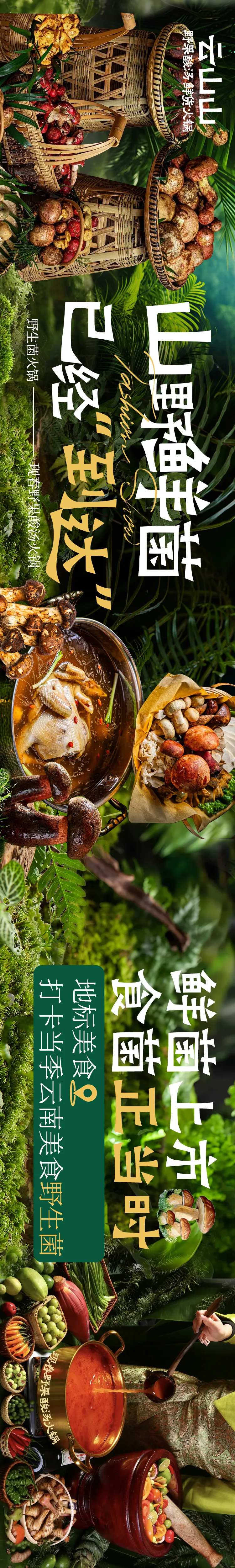 山野菜野生菌五连图-采灵感-cailinggan.com