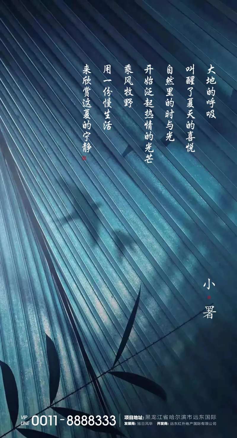 地产小暑节气海报-采灵感-cailinggan.com