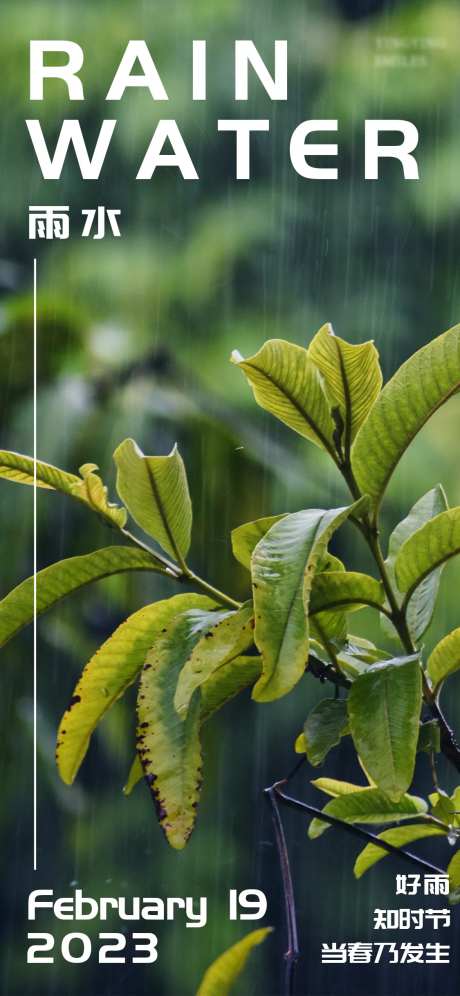 24节气雨水海报-采灵感-https://www.cailinggan.com/