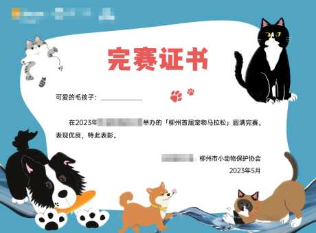 宠物完赛证书活动背景板-采灵感-https://www.cailinggan.com/