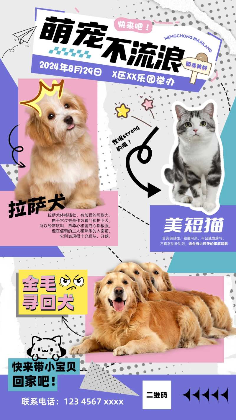 宠物领养医院潮流拼贴海报-采灵感-cailinggan.com
