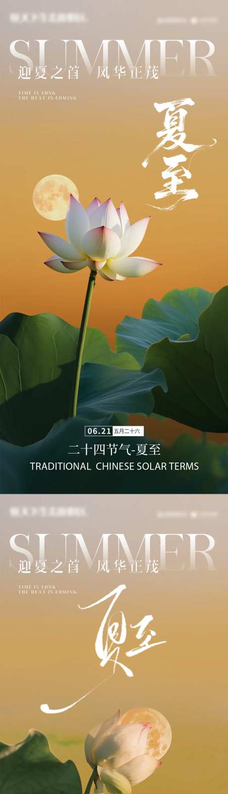 夏至荷叶荷花夏 蜻蜓-采灵感-https://www.cailinggan.com/