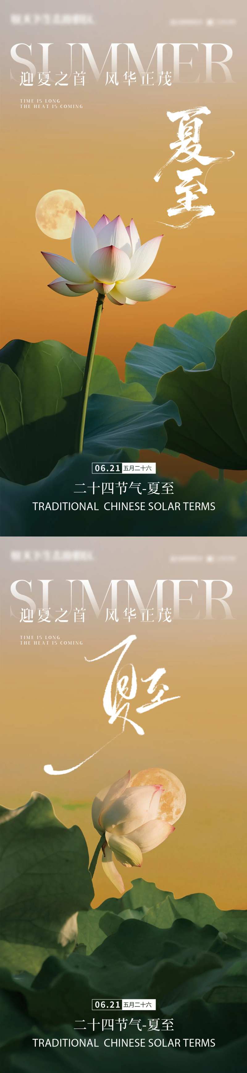 夏至荷叶荷花夏 蜻蜓-采灵感-cailinggan.com