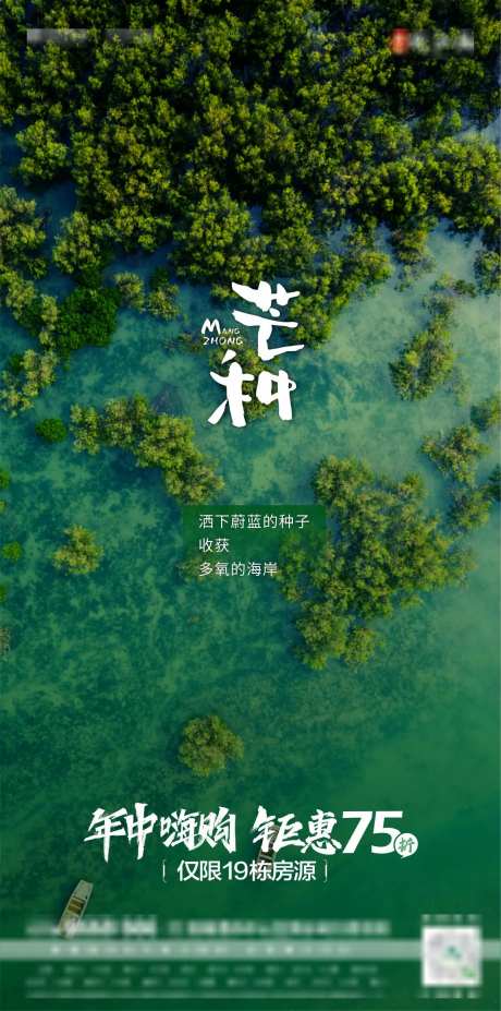 海边海景红树林芒种-采灵感-https://www.cailinggan.com/