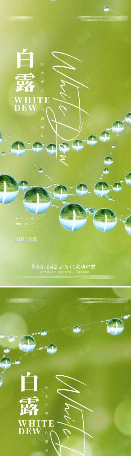 白露海报 露珠海报 白露-采灵感-https://www.cailinggan.com/
