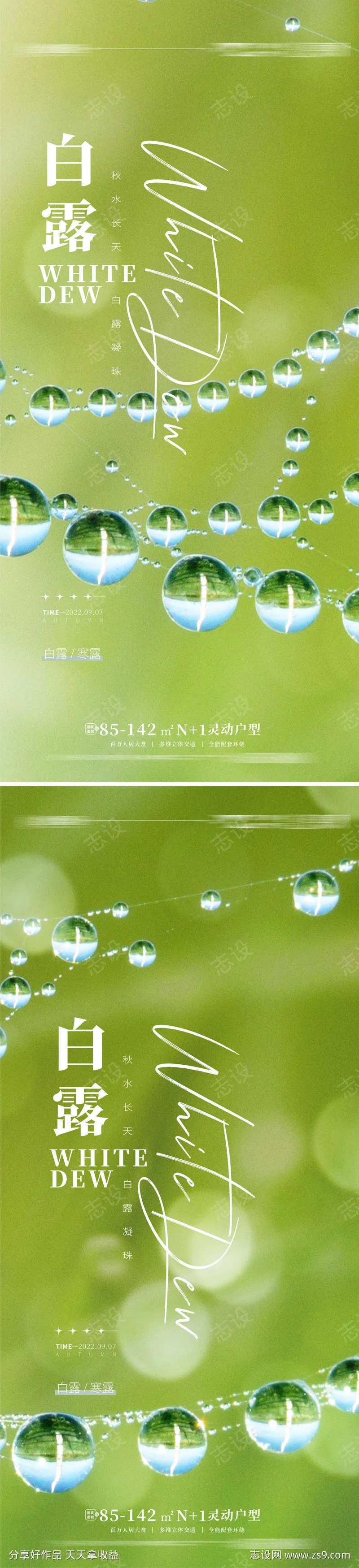 白露海报 露珠海报 白露-采灵感-cailinggan.com