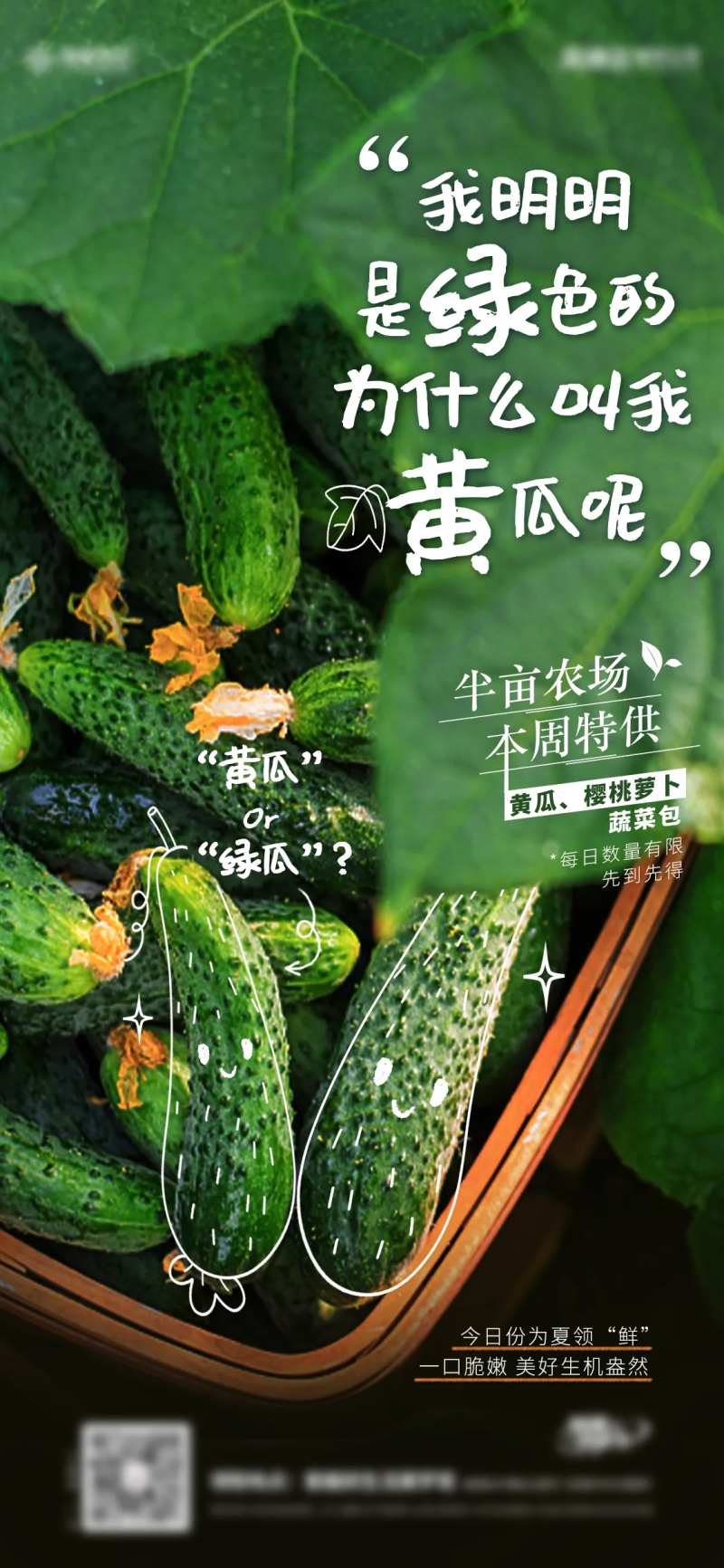 蔬菜农场黄瓜海报-采灵感-cailinggan.com