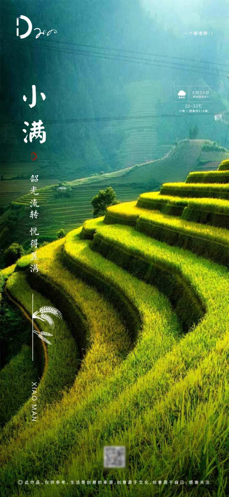 小满节气农历节日海报-采灵感-cailinggan.com