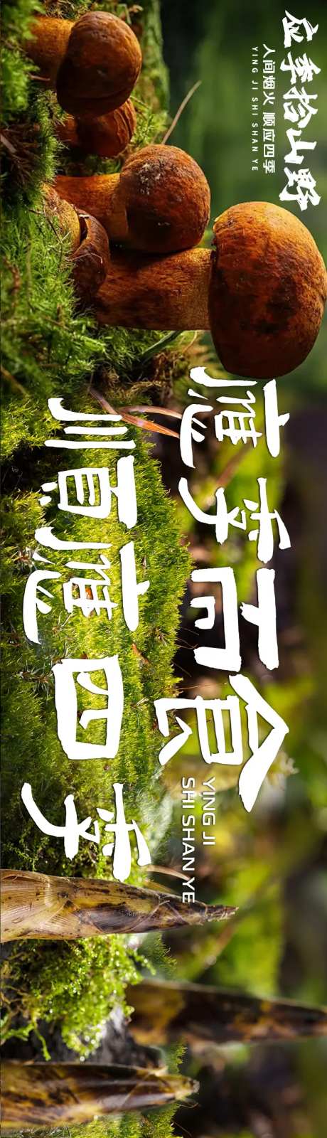 大众点评云南野生菌五连图长图设计-采灵感-https://www.cailinggan.com/