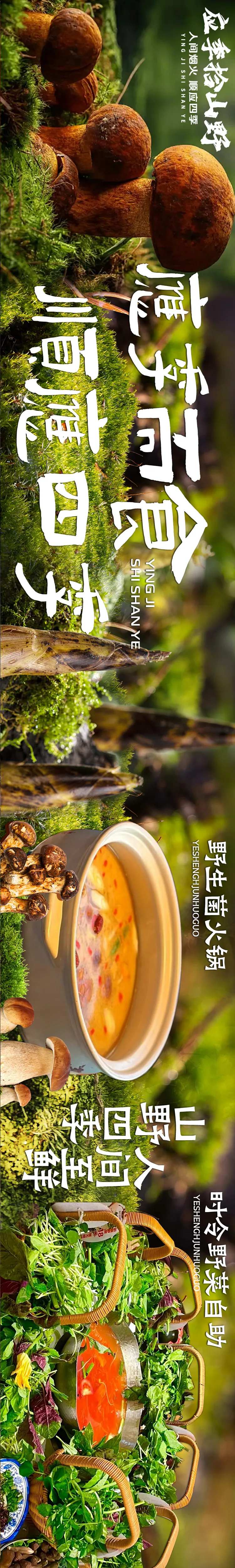 大众点评云南野生菌五连图长图设计-采灵感-cailinggan.com