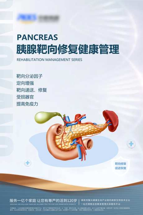 胰腺修复管理海报-采灵感-https://www.cailinggan.com/