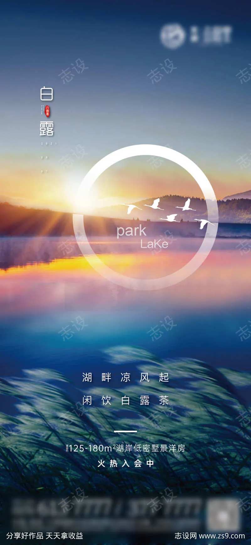 白露节气海报湖水超级符号-采灵感-cailinggan.com