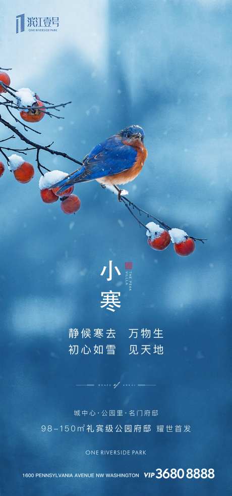 小寒节气小鸟地产移动端海报-采灵感-https://www.cailinggan.com/