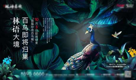 百鸟展背景板-采灵感-https://www.cailinggan.com/