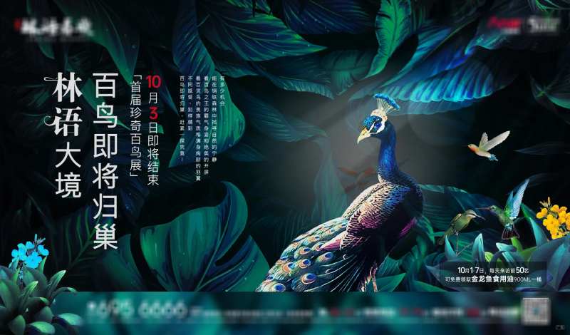 百鸟展背景板-采灵感-cailinggan.com