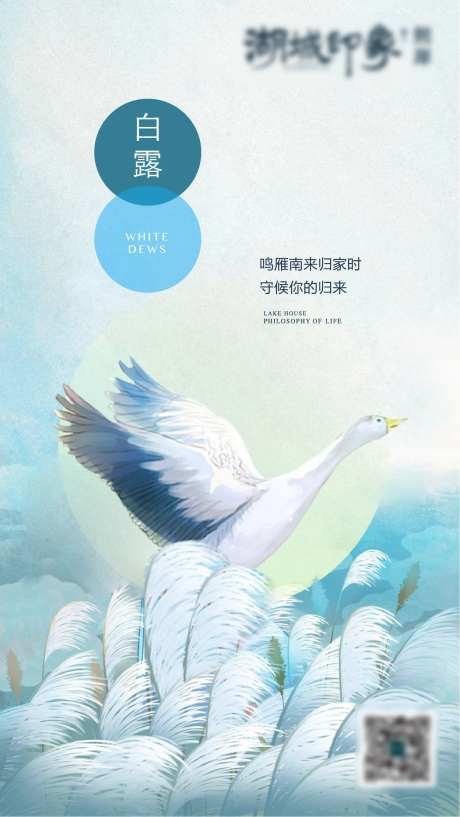 白露白鹭飞鸟插画海报-采灵感-https://www.cailinggan.com/