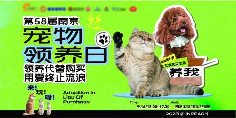 宠物领养日活动kv背景板-采灵感-https://www.cailinggan.com/
