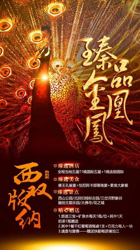 臻品金凤凰云南旅游海报-采灵感-https://www.cailinggan.com/