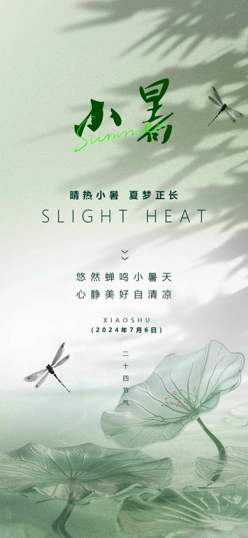 小暑24节气夏天绿色渐变荷叶蜻蜓海报-采灵感-cailinggan.com