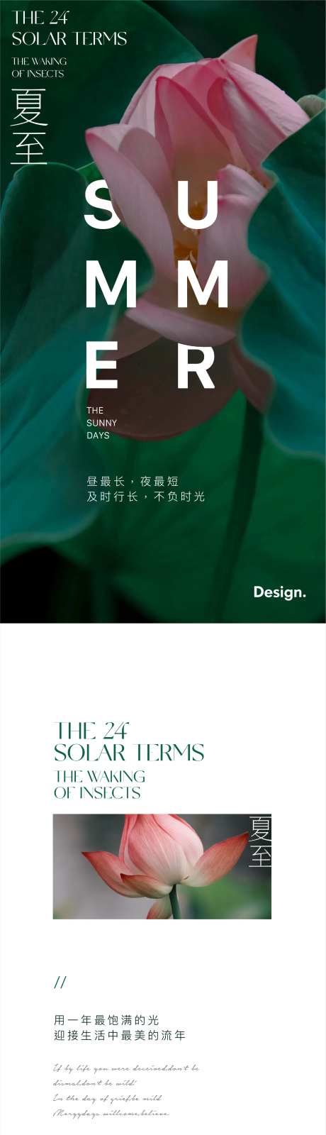 二十四节气夏至海报-采灵感-https://www.cailinggan.com/