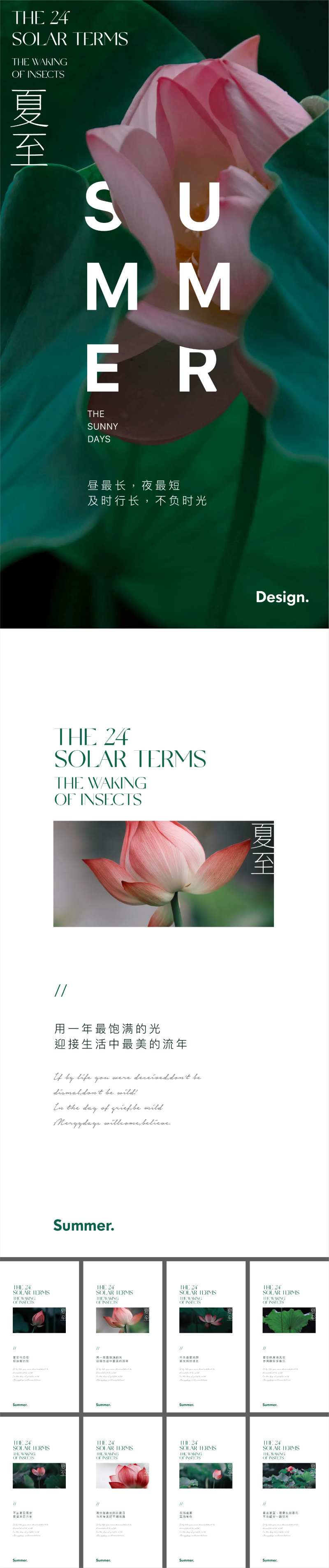 二十四节气夏至海报-采灵感-cailinggan.com