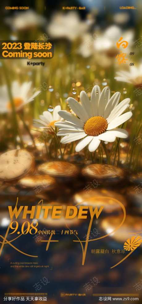 白露节气海报-采灵感-cailinggan.com