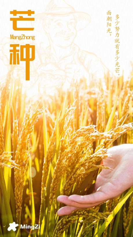节气芒种农民稻谷黄昏海报-采灵感-https://www.cailinggan.com/