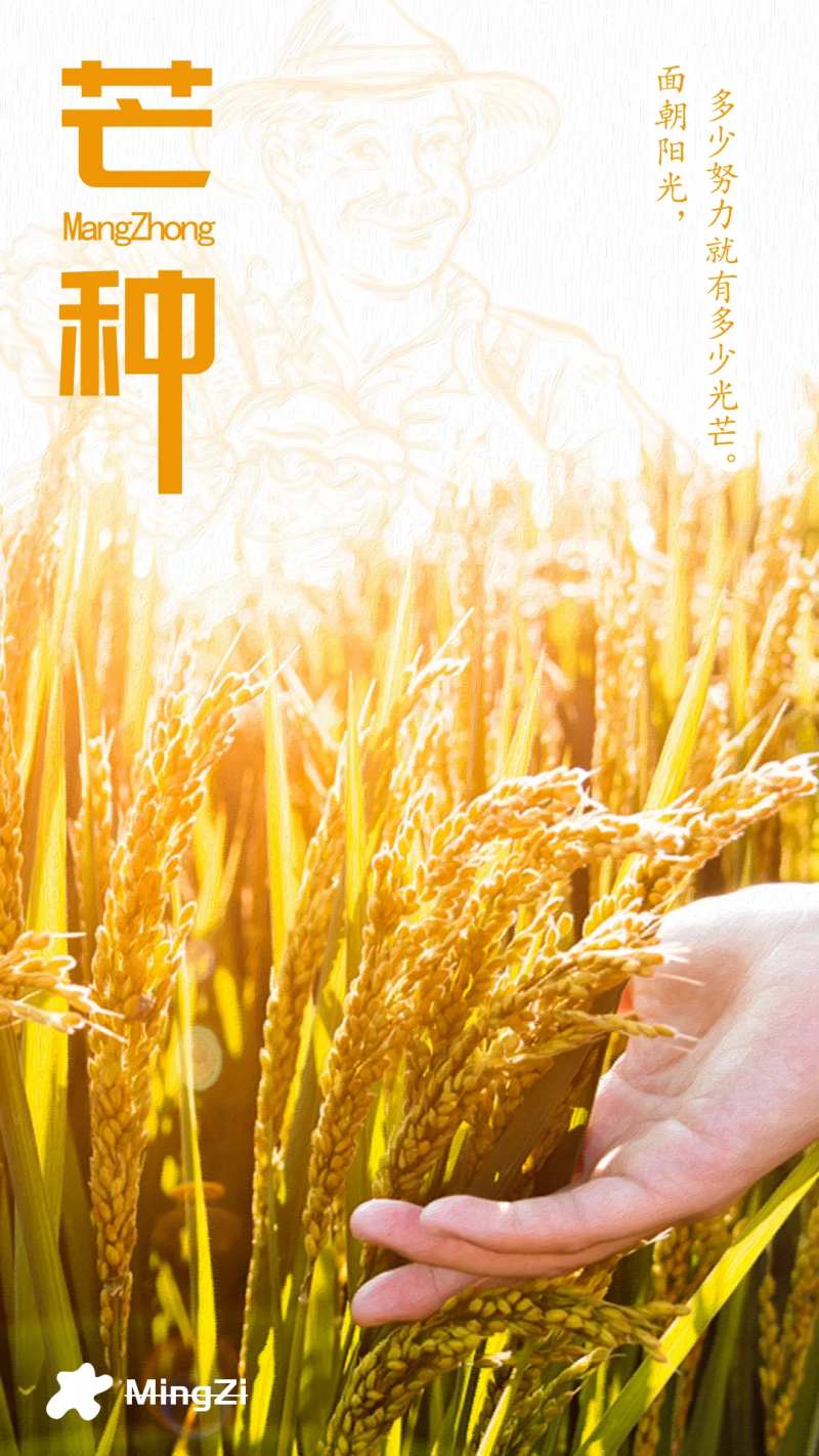 节气芒种农民稻谷黄昏海报-采灵感-cailinggan.com