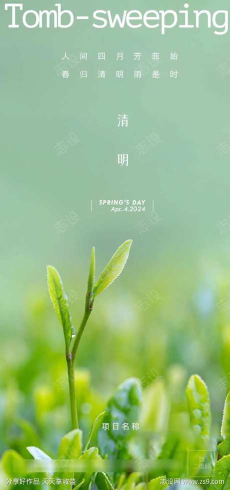 茶叶清明出茶茗茶踏青青团烟雨蒙蒙春分清明-采灵感-https://www.cailinggan.com/