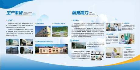 畜牧业医疗文化墙-采灵感-https://www.cailinggan.com/