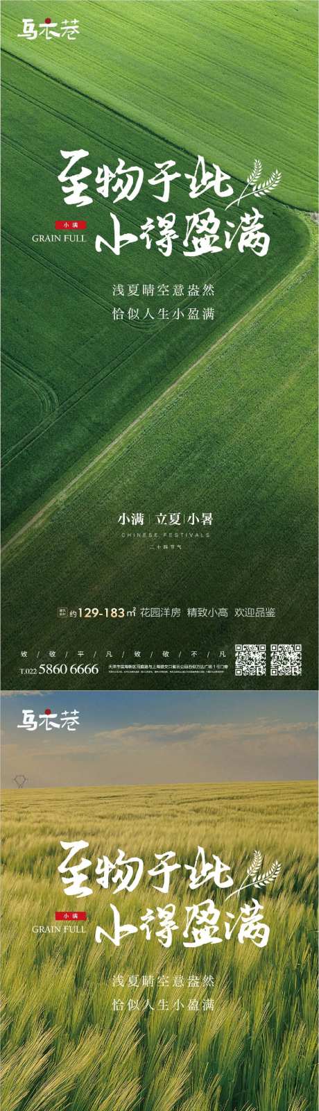 小满立夏小暑节气海报-采灵感-https://www.cailinggan.com/