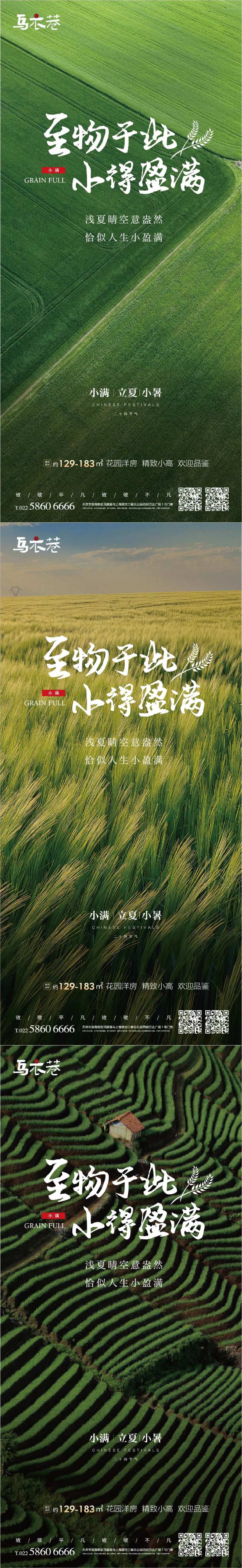 小满立夏小暑节气海报-采灵感-cailinggan.com