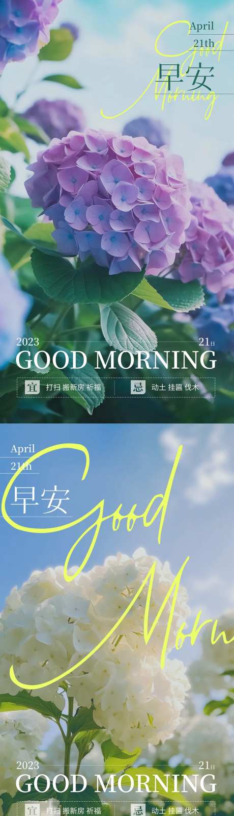 早安绣球花摄影海报-采灵感-https://www.cailinggan.com/