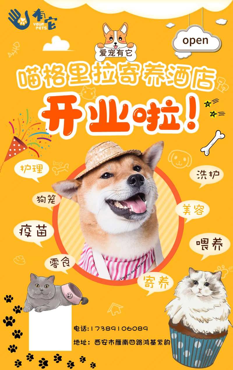 宠物店开业海报-采灵感-cailinggan.com
