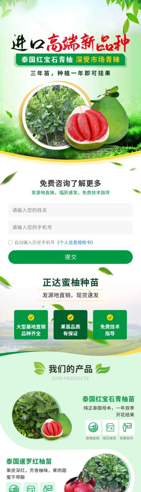 柚子苗木落地页-采灵感-https://www.cailinggan.com/