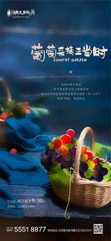 地产葡萄采摘活动海报-采灵感-https://www.cailinggan.com/