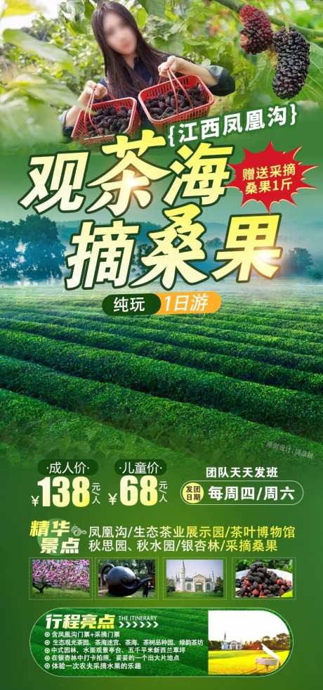 南昌桑果采摘海报-采灵感-https://www.cailinggan.com/