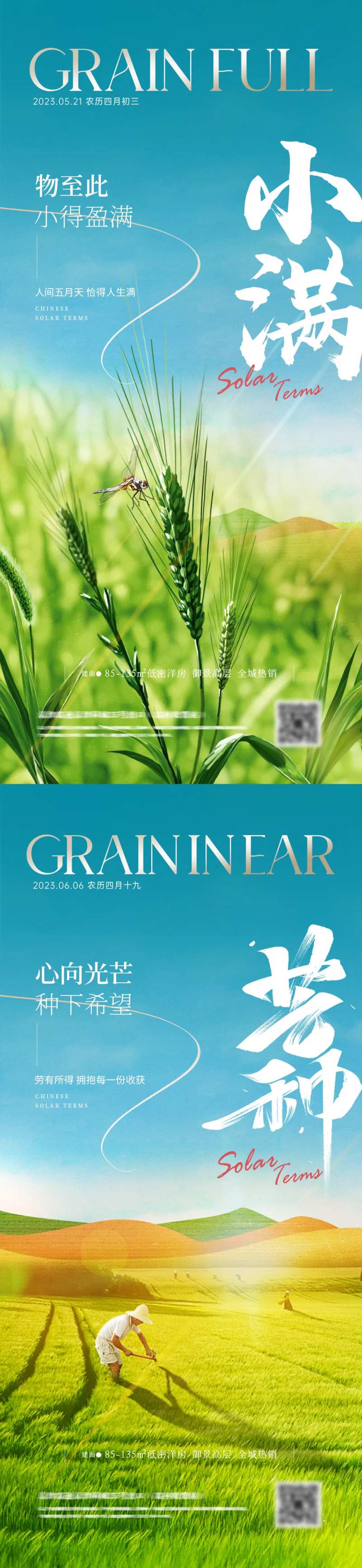 地产小满芒种植物系列海报-采灵感-cailinggan.com