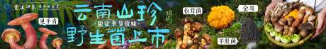 云南蘑菇长图海报-采灵感-https://www.cailinggan.com/